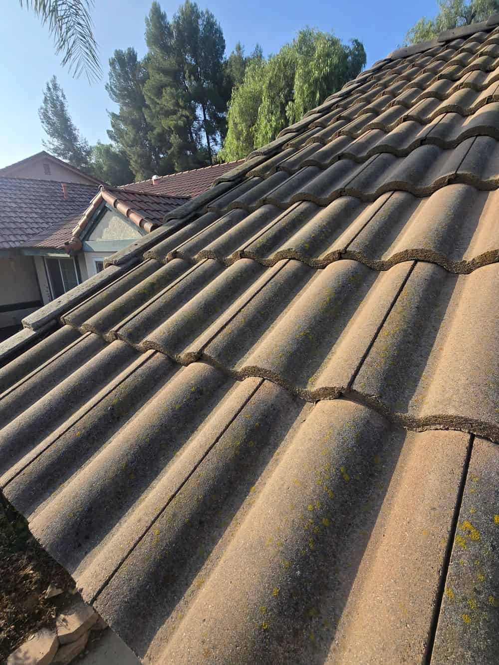 Roof Cleaning Services image