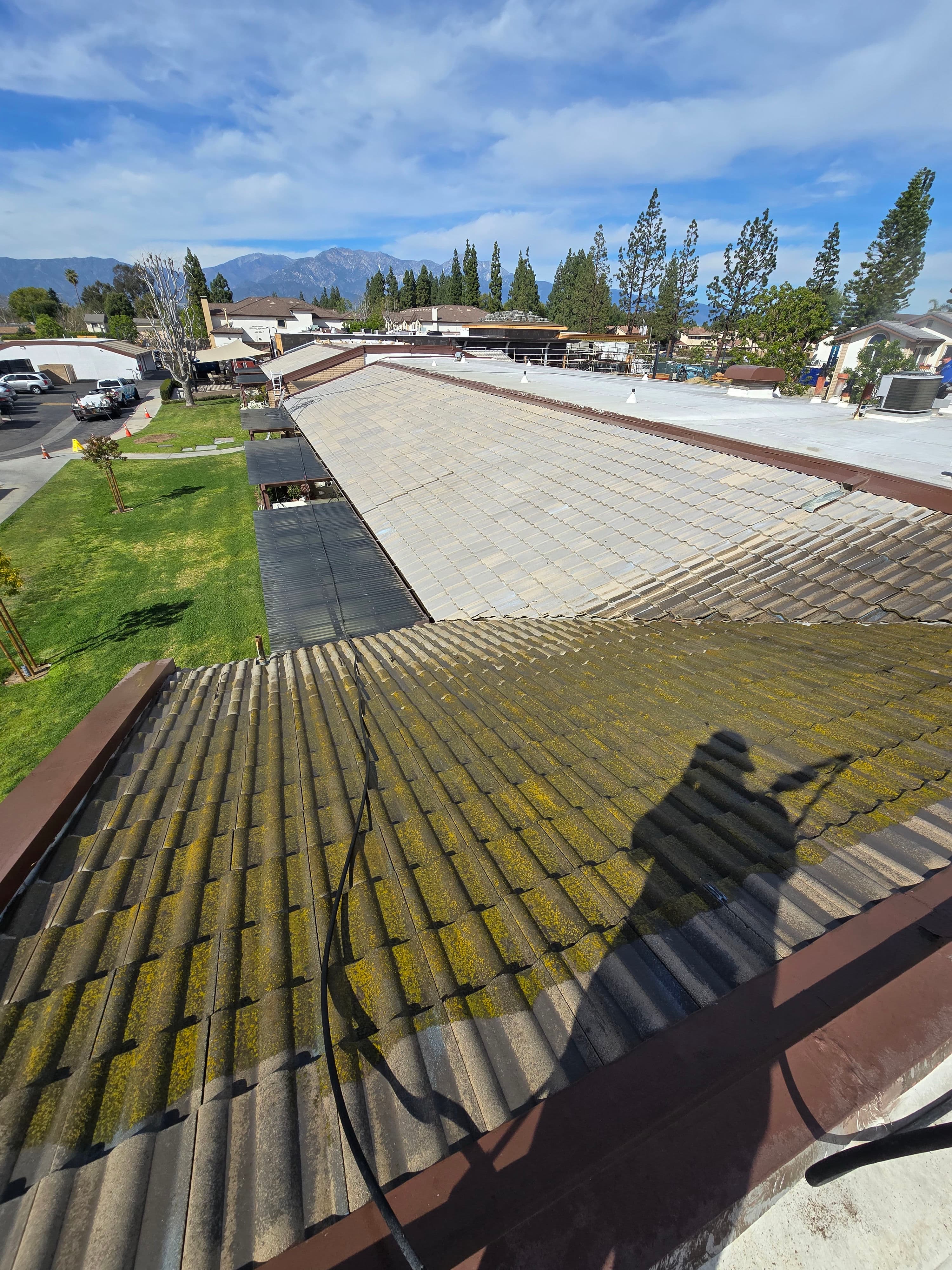 Project Transforming Roofs in Ontario for Safer Living image