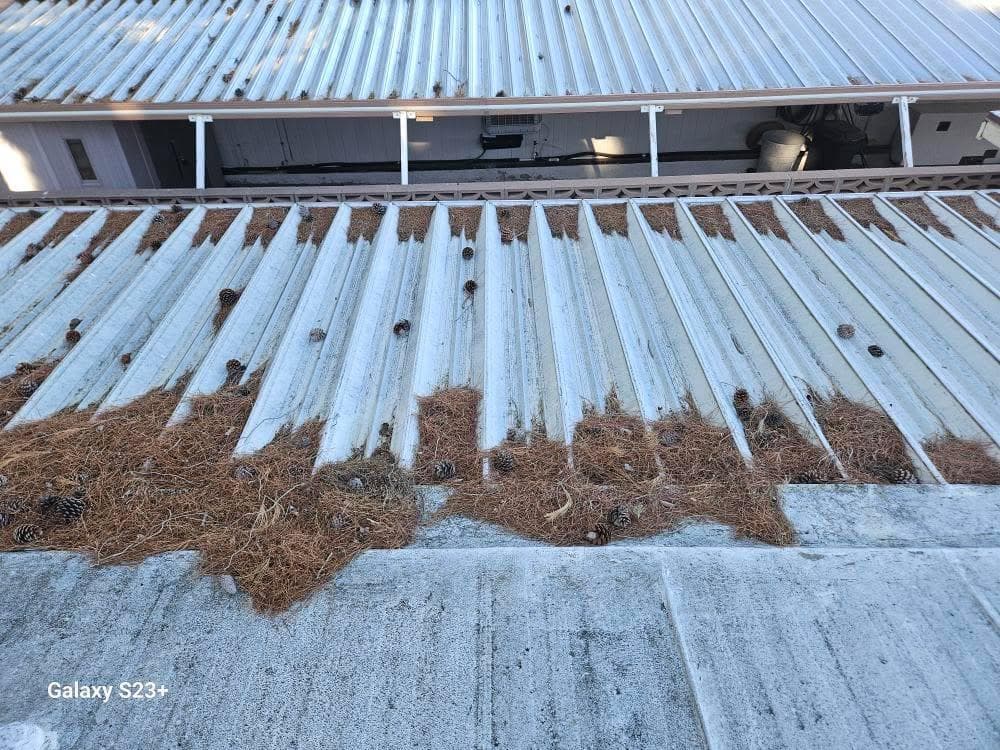 Project Roof Cleaning Magic in Lancaster image